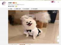 贵州博业丰商贸有限公司