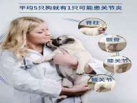 贵州博业丰商贸有限公司