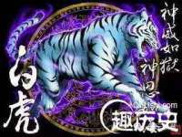 贵州博业丰商贸有限公司
