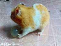 贵州博业丰商贸有限公司