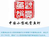 贵州博业丰商贸有限公司