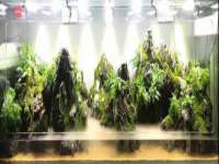 贵州博业丰商贸有限公司