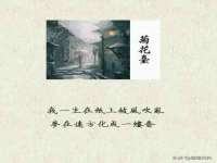 贵州博业丰商贸有限公司