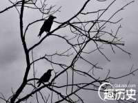 贵州博业丰商贸有限公司