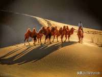 贵州博业丰商贸有限公司