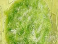 贵州博业丰商贸有限公司