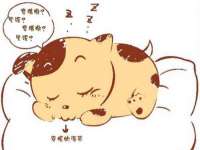 贵州博业丰商贸有限公司