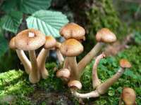 贵州博业丰商贸有限公司