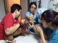贵州博业丰商贸有限公司