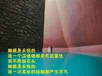 贵州博业丰商贸有限公司