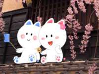 贵州博业丰商贸有限公司