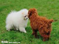贵州博业丰商贸有限公司