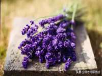 贵州博业丰商贸有限公司