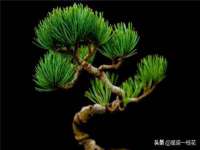 贵州博业丰商贸有限公司