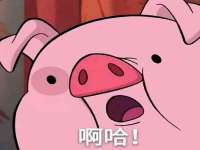 贵州博业丰商贸有限公司