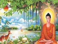 贵州博业丰商贸有限公司