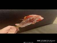 贵州博业丰商贸有限公司